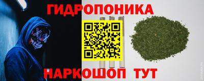 гидропоника Заводоуковск