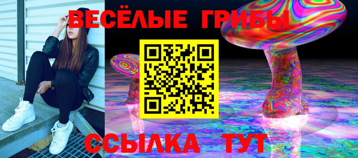 Псилоцибиновые грибы прущие грибы Зеленогорск